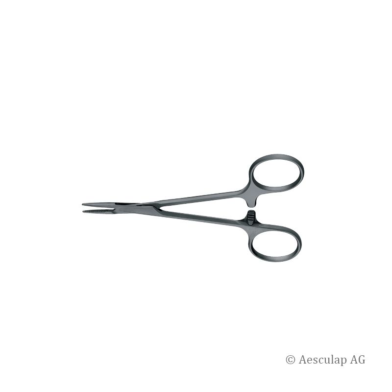 AES BH110SU