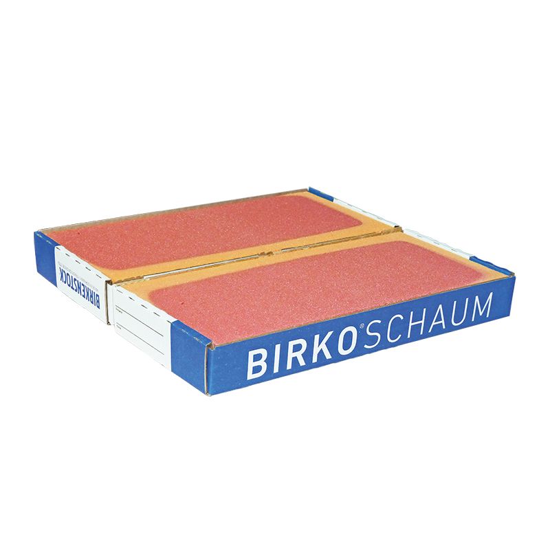BIR 013110