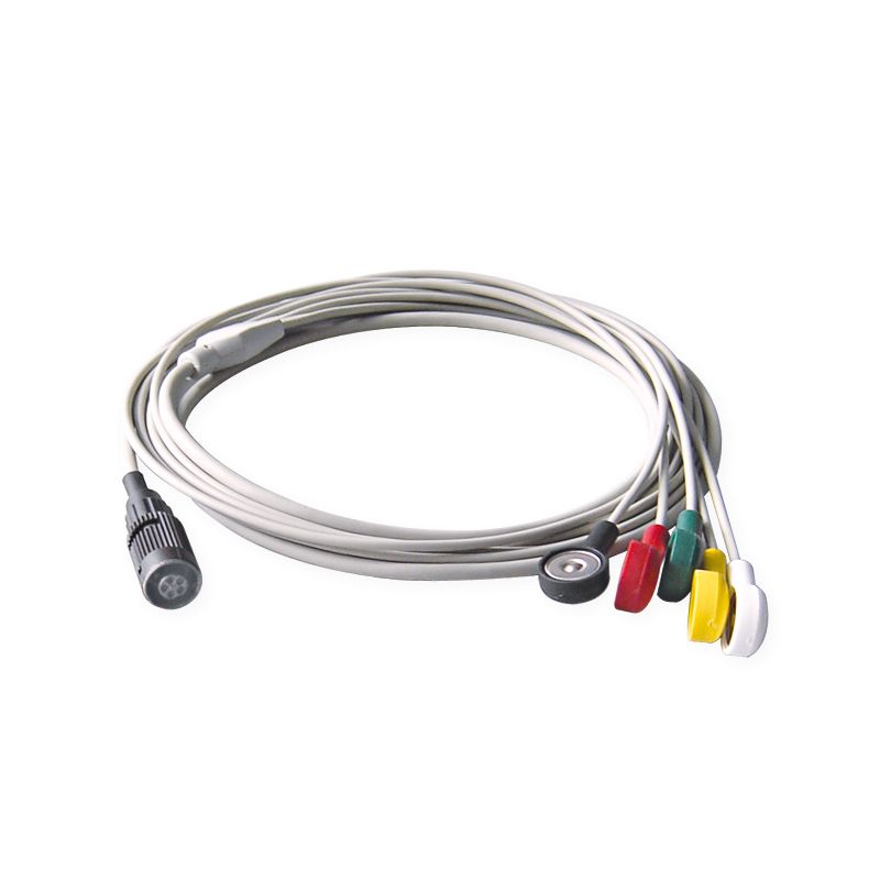 EKG 120065