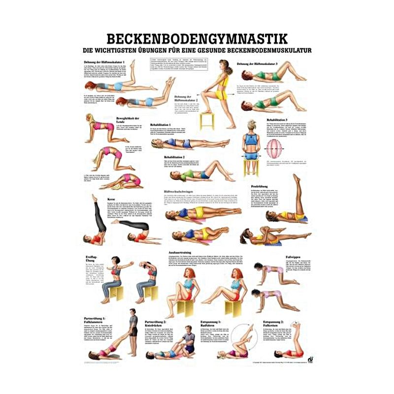 anat. Lehrtafel: Beckenbodengymnastik