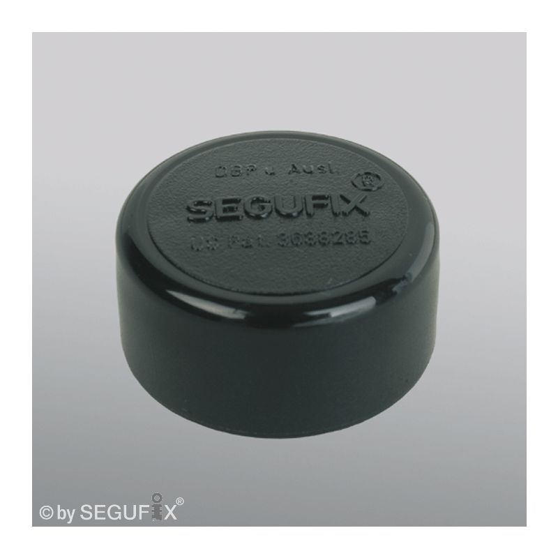 SEGUFIX-Magnetknopf