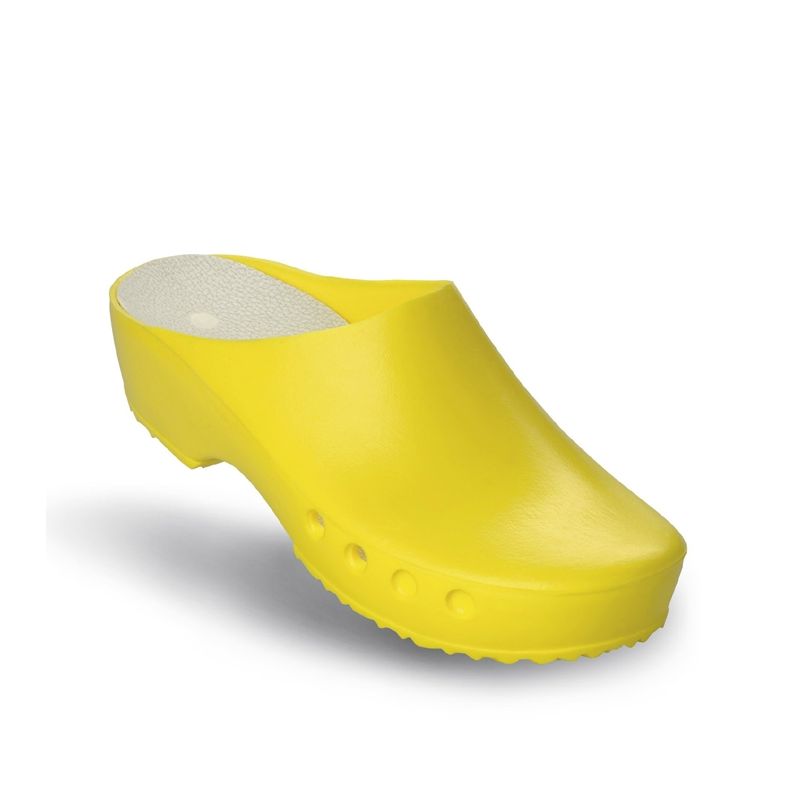 antist. ChiroClogs Classic