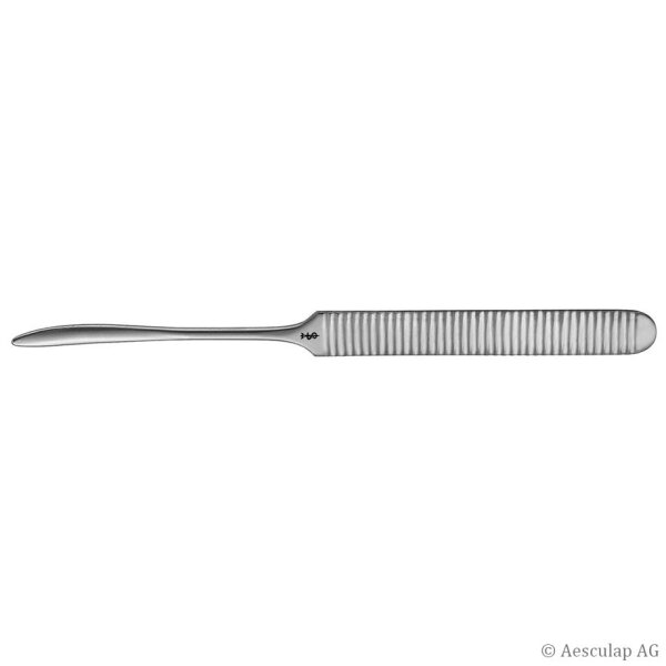 Williger Elevatorium, leicht gebogen, 165 mm, stumpf, 5 mm breit