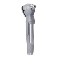 LuxaScope Auris LED Otoskop 2,5 V grau