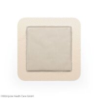 Mepilex Border Ag Schaumverband steril, 10 x 25 cm (5 Stck.)