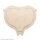 Mepilex Border Sacrum Schaumverband steril, 22 x 25 cm (5 Stck.) mit Haftrand