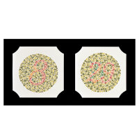 Ishihara Farbtafeln, Buchformat, 24 Tafeln, gebunden