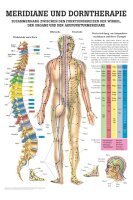 anat. Lehrtafel: Dorntherapie und Meridiane, 70 x 100 cm,...