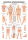 anat. Lehrtafel: Manuelle Lymphdrainage 70 x 100 cm, laminiert