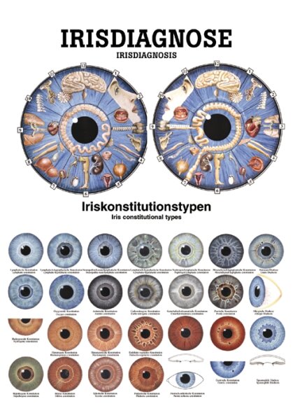 anat. Poster: Irisdiagnose 50 x 70 cm, Papier, zweisprachig