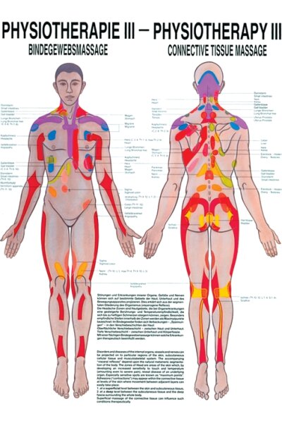 anat. Poster: Physiotherapie Bindegewebsmassage, 50 x 70 cm, Papier zweisprachig