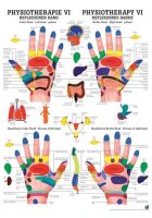 anat. Poster: Physiotherapie Reflexzonen Hand, 50 x 70...