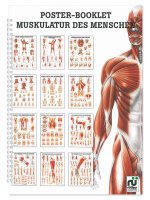 Mini-Poster Booklet: Muskulatur