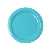 Teller flach Ø 24,1 cm, hellblau  VE = 5 Stück