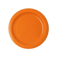 Teller flach Ø 24,1 cm, orange  VE = 5 Stück
