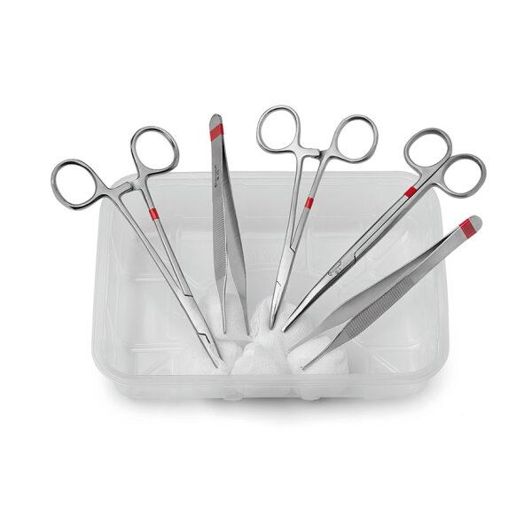 Basis-Set fein, steril  VE = 42 Sets