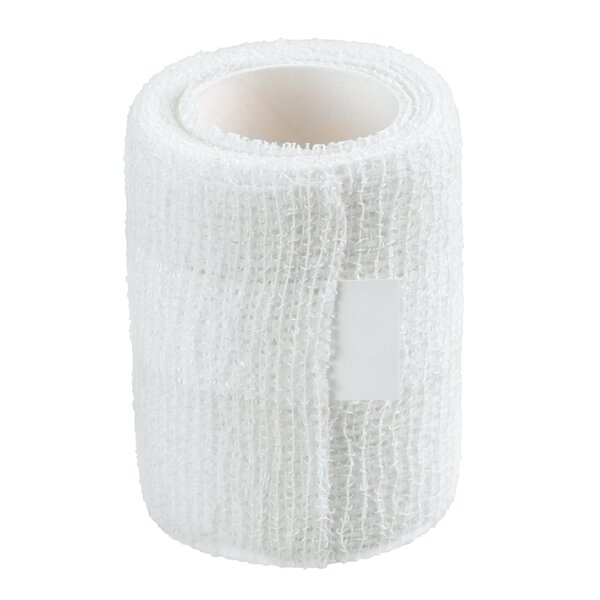Askina kohäsive Fixierbinde | 6 cm x 4 m | 1 Rolle