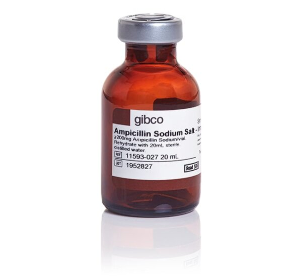 Ampicillin Testblättchen | AMP | 10µg | 5 x 50 Stück