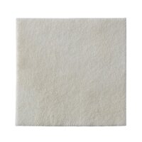 Biatain Alginate Ag Alginatkompressen mit Silber, steril,...