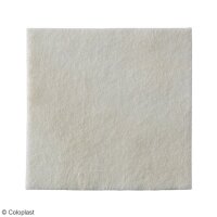 Biatain Alginate Ag Alginatkompressen mit Silber,steril,...