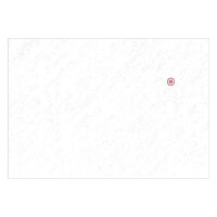 Einmal-Papierfilter 235 x 165 mm (100 Stck.)