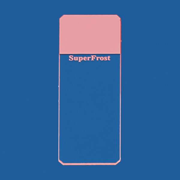 Objektträger SuperFrost rosa geschliffen 45° (50 Stck.)