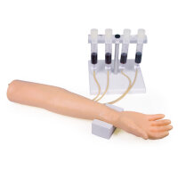 Trainingsarm für intravenöse Injektion und...