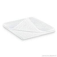 ES-Kompressen steril 12-fach 10 x 10 cm (25 x 2 Stck.)