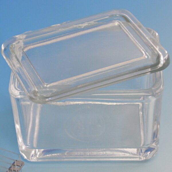 Glaskasten mit Deckel allein 9 x 7 x 6,5 cm