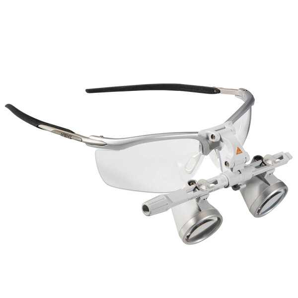 Binokularlupenset A HR 2.5x/420 mm mit i-View Lupenträger
