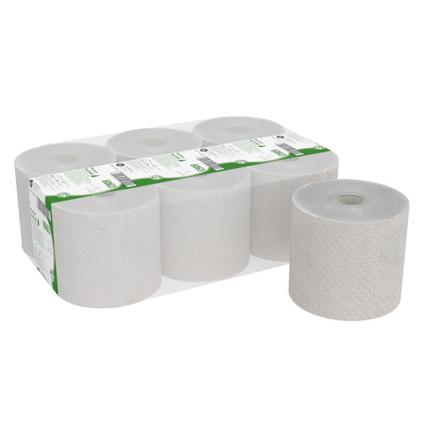 Hostess NATURA Handtücher, 1-lagig, grau, 20 cm x 190 m (6 Rl.) Pal. = 36 Btl.
